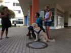 Bioveta byla sponzorem Rekondičního pobytu pro držitele vodicích a asistenčních psů