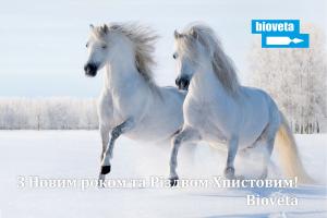 З Новим роком та Рiздвом Хпистовим!