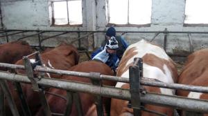 "Біовета" навчає в Україні