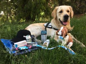 Bioveta podpořila Rekondiční pobyt pro držitele vodicích a asistenčních psů