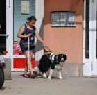 Bioveta byla sponzorem Rekondičního pobytu pro držitele vodicích a asistenčních psů