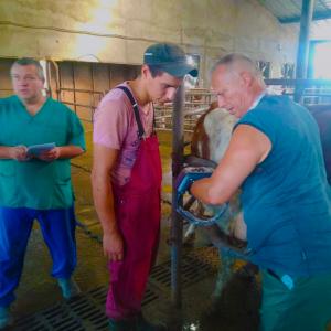Практичний семінар Biovety в Одесі
