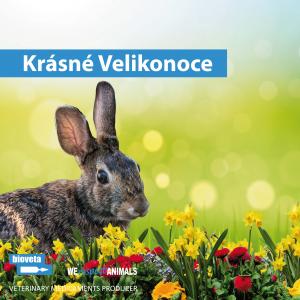 PŘEJEME VÁM KRÁSNÉ VELIKONOCE