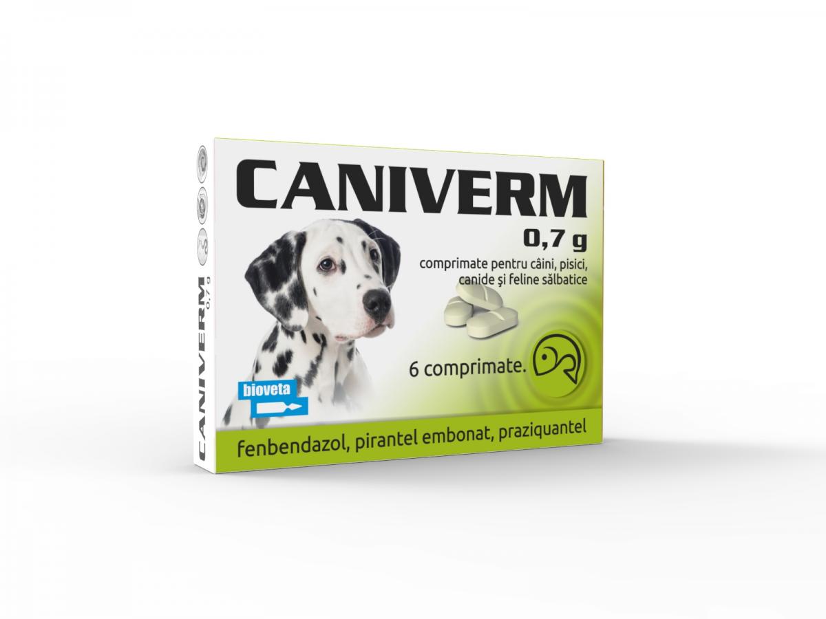 CANIVERM 0, g, Preparate veterinare pentru viermi